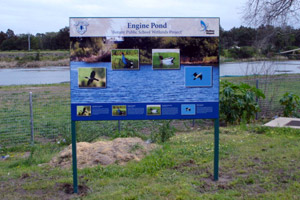 Pylons & Sign Frames