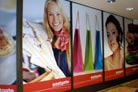 Digitally Printed Window Graphics