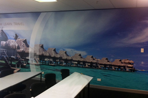 Wall Graphics