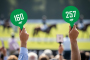 Auction Paddle