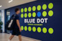 Wall Murals and Graphics