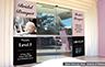 Premium Window Graphics for Businesses