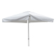 Umbrella Frame and Canopy